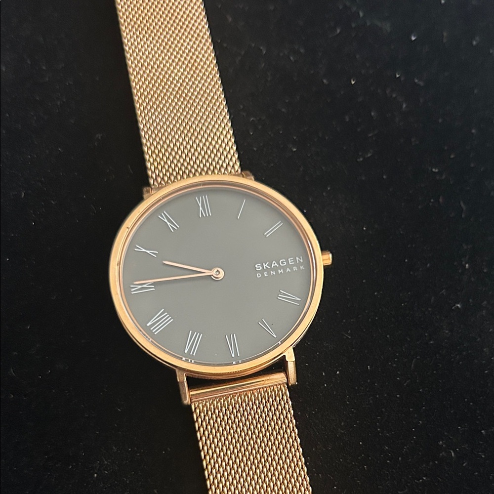 Skagen copper Mesh Watch with Slate Dial